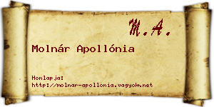 Molnár Apollónia névjegykártya